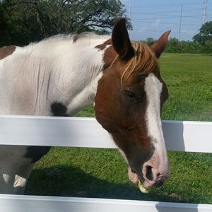 Meet your Posher, Joan